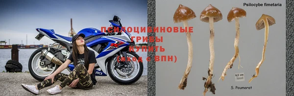 прущие крисы Абаза