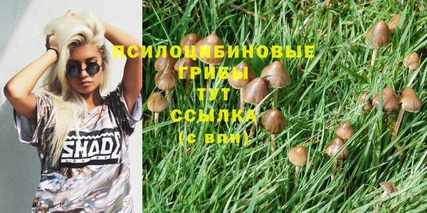 СК Алзамай