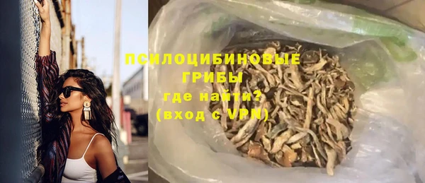 ГАЛЛЮЦИНОГЕННЫЕ ГРИБЫ Алексин