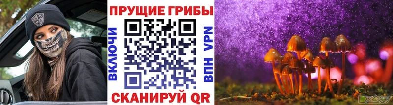 Галлюциногенные грибы мицелий Кинель