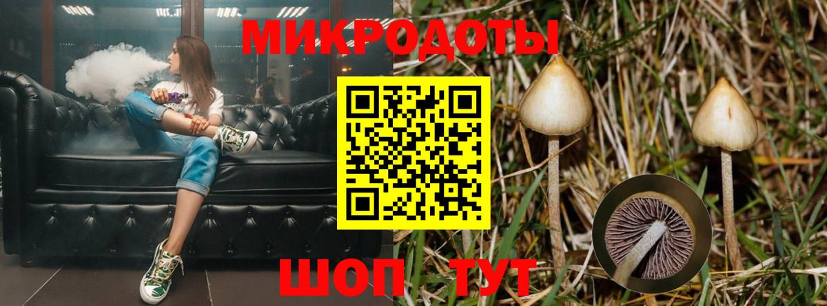 Псилоцибиновые грибы Psilocybe  Псилоцибиновые грибы MAGIC MUSHROOMS  Кинель  Вход с VPN 