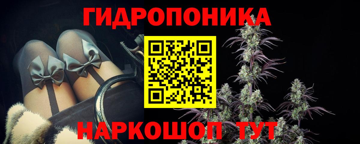 Канабис ГИДРОПОН  Вход с VPN  Бошки Шишки AK-47  Кинель  Марихуана AK-47 